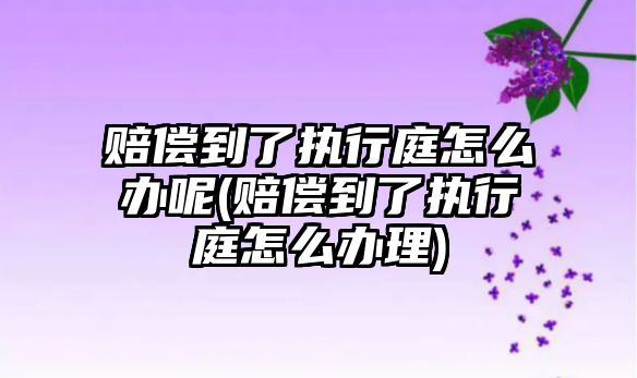 賠償到了執行庭怎么辦呢(賠償到了執行庭怎么辦理)