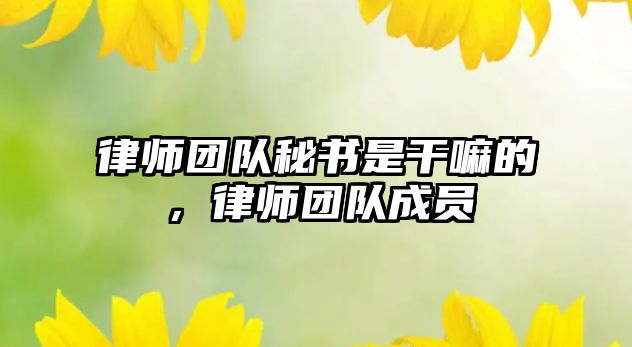 律師團隊秘書是干嘛的，律師團隊成員