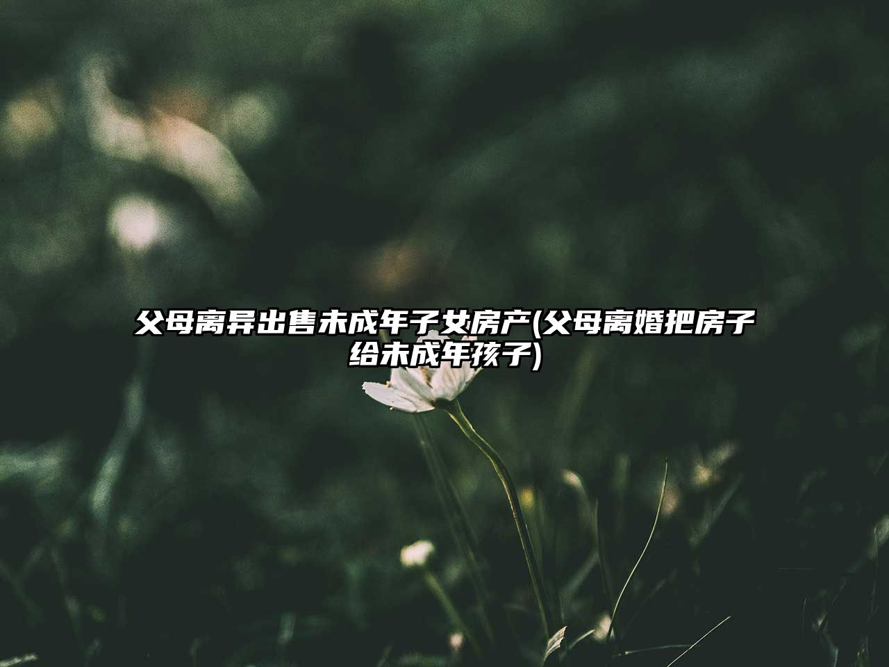 父母離異出售未成年子女房產(chǎn)(父母離婚把房子給未成年孩子)