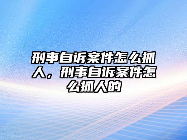 刑事自訴案件怎么抓人，刑事自訴案件怎么抓人的