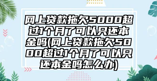 網(wǎng)上貸款拖欠5000超過1個月了可以只還本金嗎(網(wǎng)上貸款拖欠5000超過1個月了可以只還本金嗎怎么辦)