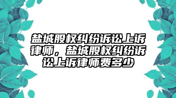 鹽城股權糾紛訴訟上訴律師，鹽城股權糾紛訴訟上訴律師費多少