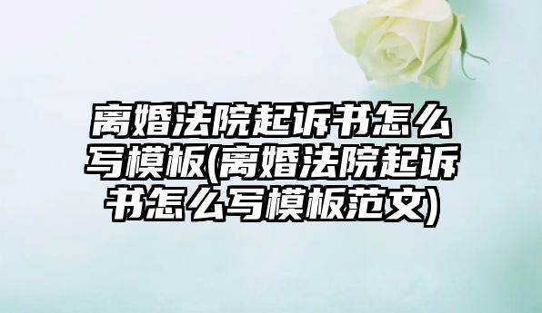 離婚法院起訴書怎么寫模板(離婚法院起訴書怎么寫模板范文)