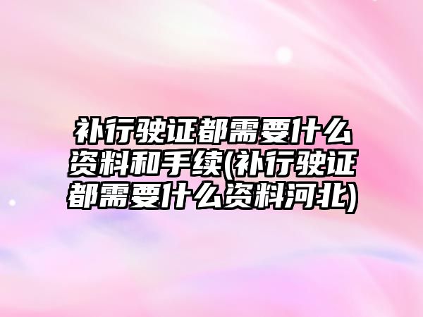 補行駛證都需要什么資料和手續(補行駛證都需要什么資料河北)