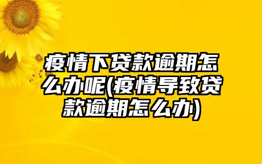 疫情下貸款逾期怎么辦呢(疫情導致貸款逾期怎么辦)