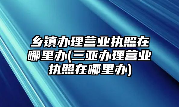 鄉(xiāng)鎮(zhèn)辦理營(yíng)業(yè)執(zhí)照在哪里辦(三亞辦理營(yíng)業(yè)執(zhí)照在哪里辦)