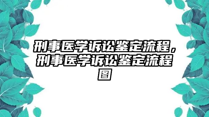 刑事醫(yī)學(xué)訴訟鑒定流程，刑事醫(yī)學(xué)訴訟鑒定流程圖