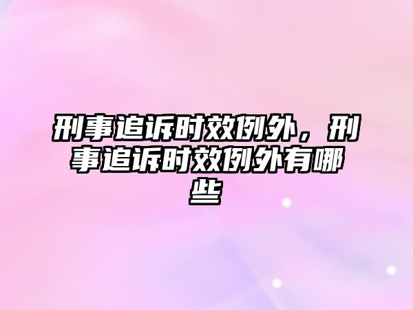 刑事追訴時效例外，刑事追訴時效例外有哪些