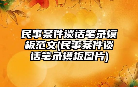 民事案件談話筆錄模板范文(民事案件談話筆錄模板圖片)