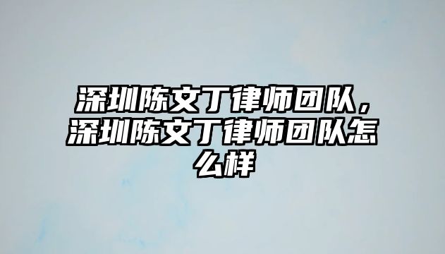 深圳陳文丁律師團隊，深圳陳文丁律師團隊怎么樣