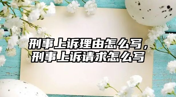 刑事上訴理由怎么寫，刑事上訴請求怎么寫