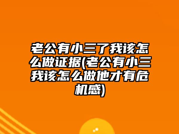 老公有小三了我該怎么做證據(jù)(老公有小三我該怎么做他才有危機(jī)感)