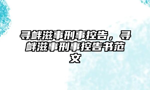 尋釁滋事刑事控告，尋釁滋事刑事控告書范文