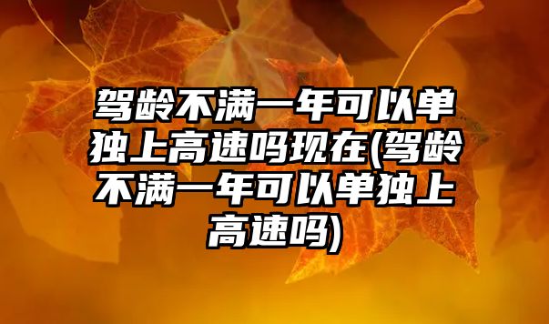 駕齡不滿一年可以單獨上高速嗎現在(駕齡不滿一年可以單獨上高速嗎)