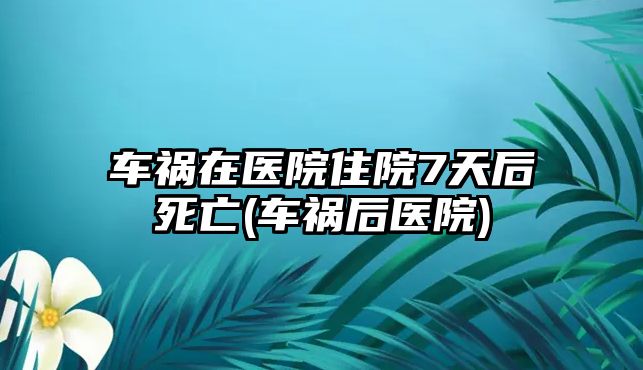 車禍在醫院住院7天后死亡(車禍后醫院)