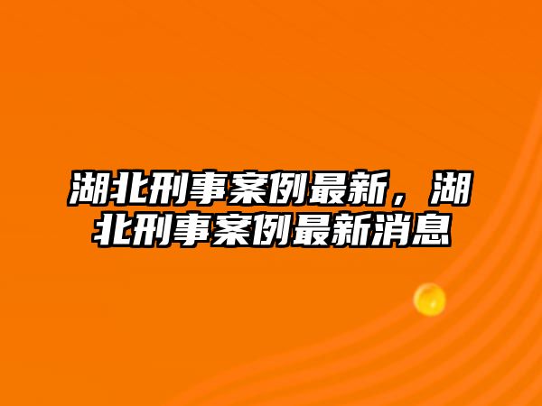 湖北刑事案例最新，湖北刑事案例最新消息