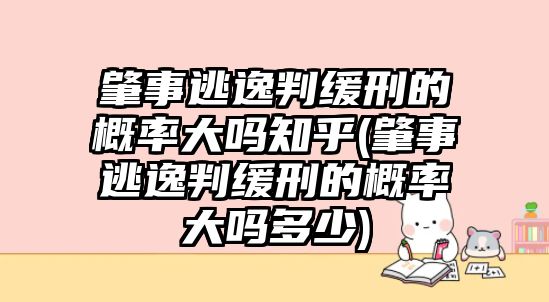 肇事逃逸判緩刑的概率大嗎知乎(肇事逃逸判緩刑的概率大嗎多少)