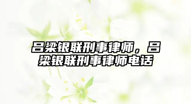 呂梁銀聯(lián)刑事律師，呂梁銀聯(lián)刑事律師電話