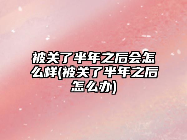 被關(guān)了半年之后會怎么樣(被關(guān)了半年之后怎么辦)