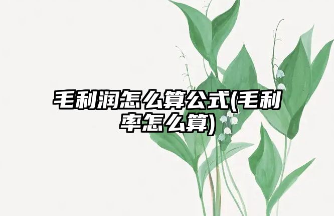 毛利潤怎么算公式(毛利率怎么算)