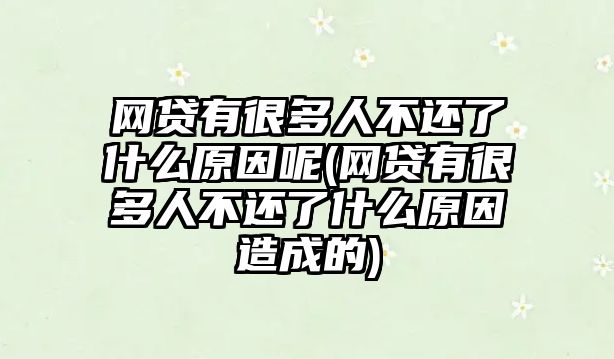 網(wǎng)貸有很多人不還了什么原因呢(網(wǎng)貸有很多人不還了什么原因造成的)