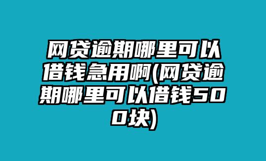 網(wǎng)貸逾期哪里可以借錢急用啊(網(wǎng)貸逾期哪里可以借錢500塊)