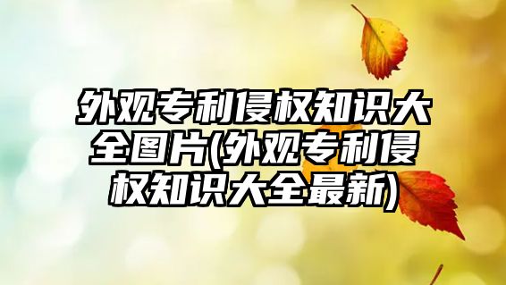 外觀專利侵權知識大全圖片(外觀專利侵權知識大全最新)