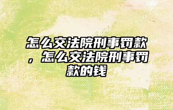 怎么交法院刑事罰款，怎么交法院刑事罰款的錢