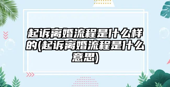 起訴離婚流程是什么樣的(起訴離婚流程是什么意思)