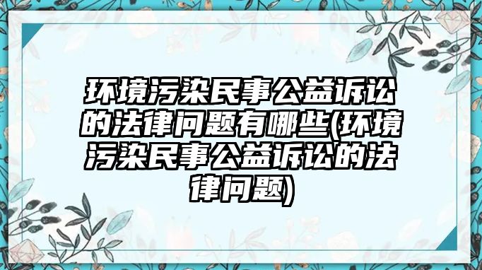 環境污染民事公益訴訟的法律問題有哪些(環境污染民事公益訴訟的法律問題)