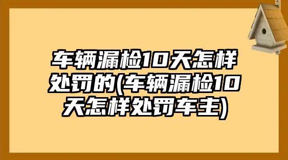 車輛漏檢10天怎樣處罰的(車輛漏檢10天怎樣處罰車主)