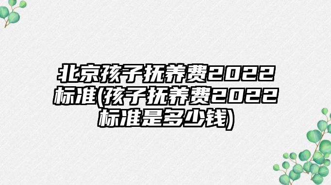 北京孩子撫養費2022標準(孩子撫養費2022標準是多少錢)