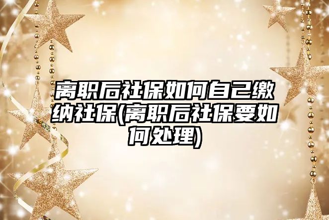 離職后社保如何自己繳納社保(離職后社保要如何處理)