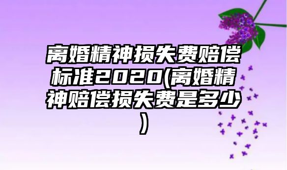 離婚精神損失費(fèi)賠償標(biāo)準(zhǔn)2020(離婚精神賠償損失費(fèi)是多少)