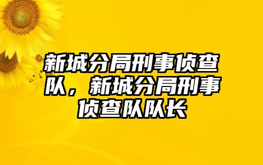 新城分局刑事偵查隊，新城分局刑事偵查隊隊長