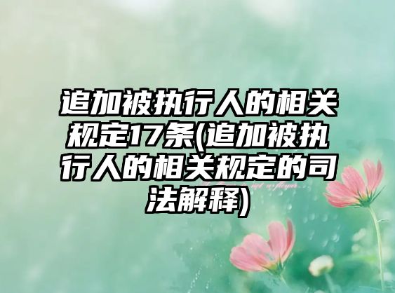 追加被執(zhí)行人的相關(guān)規(guī)定17條(追加被執(zhí)行人的相關(guān)規(guī)定的司法解釋)