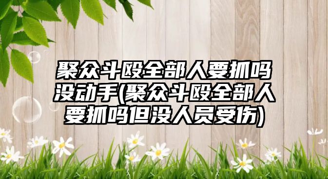 聚眾斗毆全部人要抓嗎沒動(dòng)手(聚眾斗毆全部人要抓嗎但沒人員受傷)