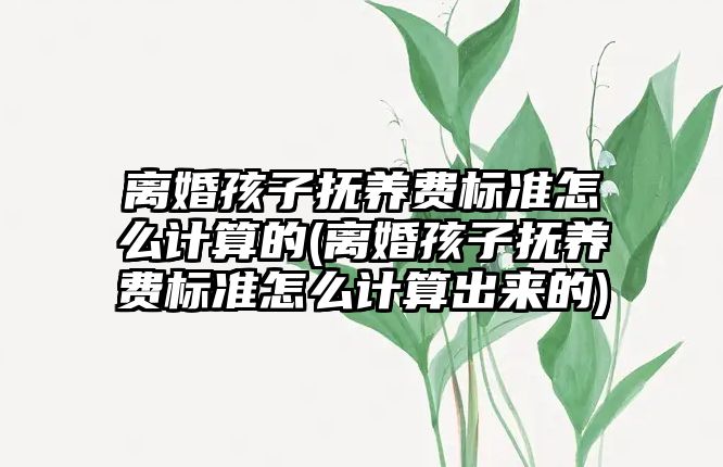 離婚孩子撫養費標準怎么計算的(離婚孩子撫養費標準怎么計算出來的)