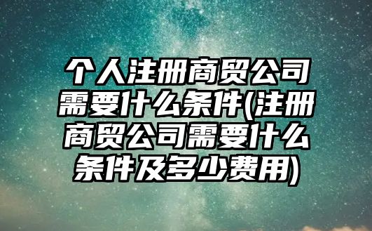 個人注冊商貿公司需要什么條件(注冊商貿公司需要什么條件及多少費用)