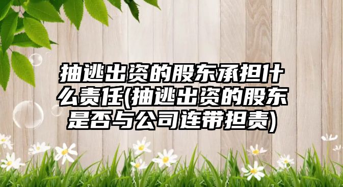 抽逃出資的股東承擔什么責任(抽逃出資的股東是否與公司連帶擔責)