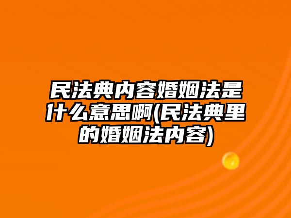 民法典內容婚姻法是什么意思啊(民法典里的婚姻法內容)