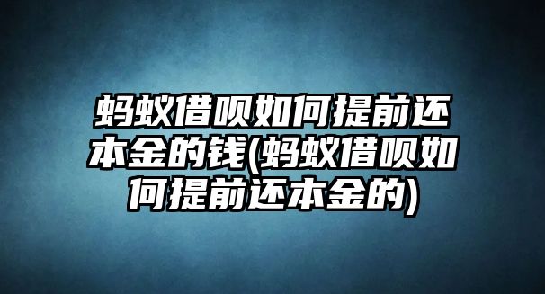 螞蟻借唄如何提前還本金的錢(螞蟻借唄如何提前還本金的)