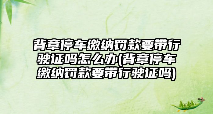 背章停車繳納罰款要帶行駛證嗎怎么辦(背章停車繳納罰款要帶行駛證嗎)