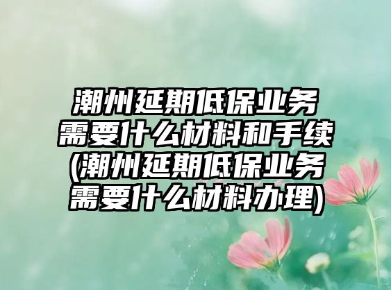 潮州延期低保業務需要什么材料和手續(潮州延期低保業務需要什么材料辦理)