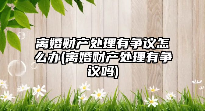 離婚財(cái)產(chǎn)處理有爭議怎么辦(離婚財(cái)產(chǎn)處理有爭議嗎)