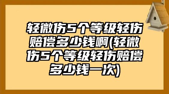 輕微傷5個等級輕傷賠償多少錢啊(輕微傷5個等級輕傷賠償多少錢一次)