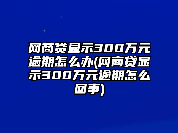 網商貸顯示300萬元逾期怎么辦(網商貸顯示300萬元逾期怎么回事)