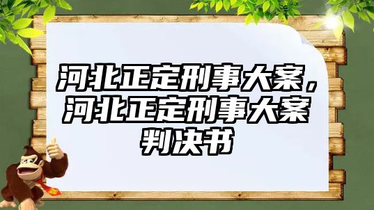 河北正定刑事大案，河北正定刑事大案判決書