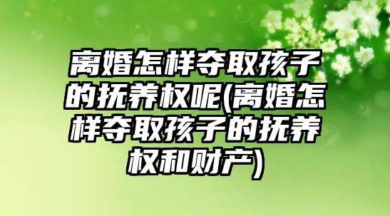 離婚怎樣奪取孩子的撫養權呢(離婚怎樣奪取孩子的撫養權和財產)