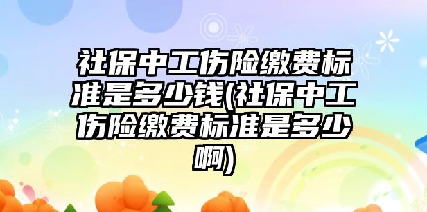 社保中工傷險繳費標準是多少錢(社保中工傷險繳費標準是多少啊)